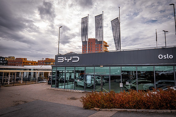 Bilde 1 av 1 i jobbannonse-galleriet