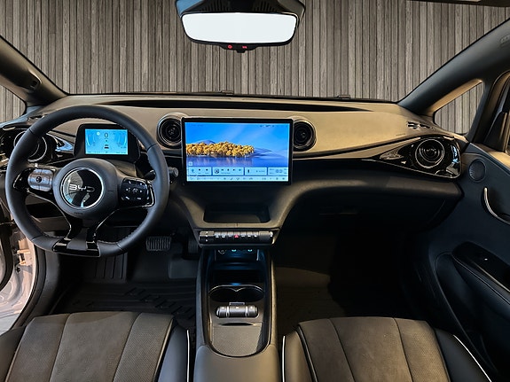 BYD Dolphin 10 of 10