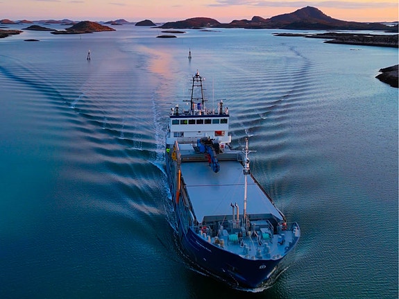 Bilde 1 av 1 i jobbannonse-galleriet