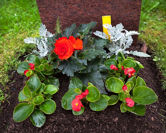 Bilde 3 av 7 i jobbannonse-galleriet