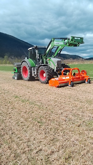 DIREKTE SÅING AV GRAS 7 of 16