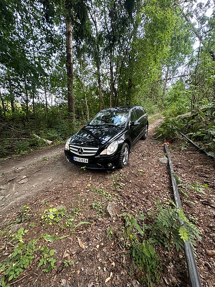 Mercedes-Benz R320