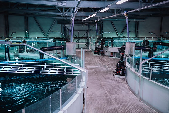 Bilde 1 av 4 i jobbannonse-galleriet