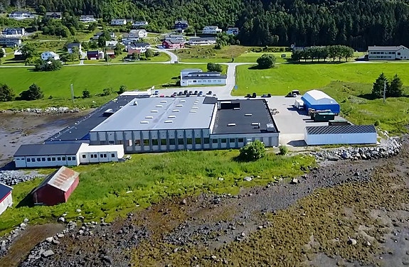 Bilde 3 av 5 i jobbannonse-galleriet