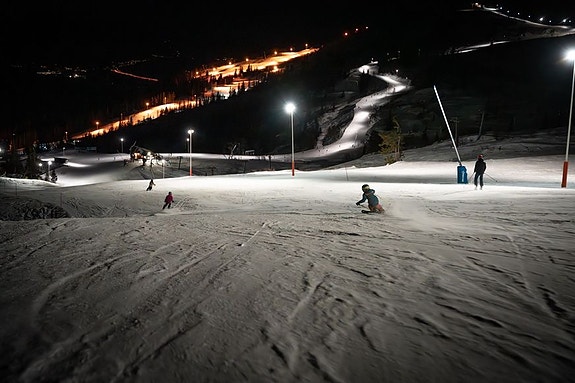 Bilde 2 av 5 i jobbannonse-galleriet