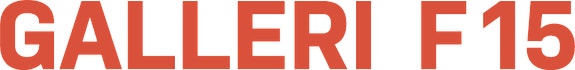 GALLERI F 15 AS logo