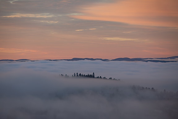 Bilde 4 av 4 i jobbannonse-galleriet