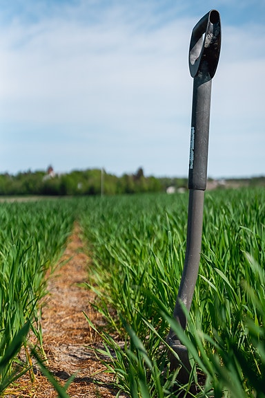 Bilde 5 av 5 i jobbannonse-galleriet