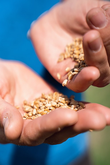 Bilde 2 av 5 i jobbannonse-galleriet