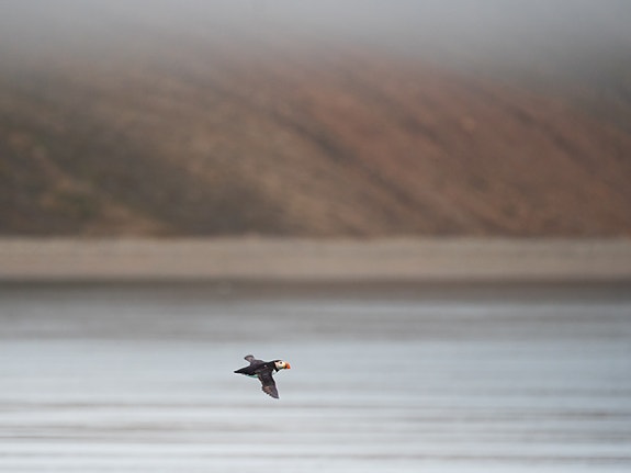 Bilde 8 av 8 i jobbannonse-galleriet