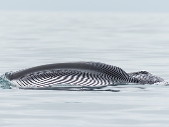 Bilde 3 av 8 i jobbannonse-galleriet