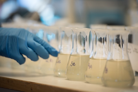 Bilde 2 av 3 i jobbannonse-galleriet