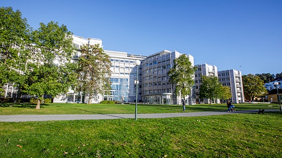 Bilde 3 av 8 i jobbannonse-galleriet