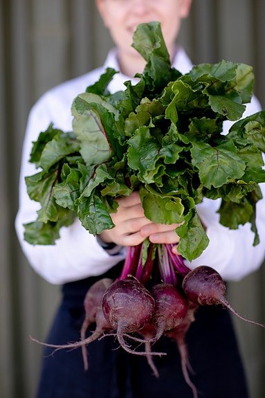 Bilde 4 av 7 i jobbannonse-galleriet