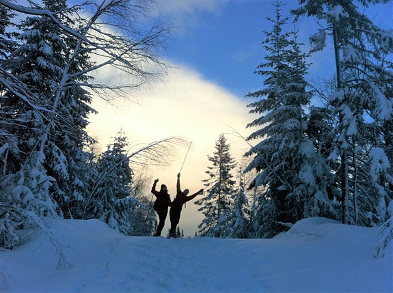 Bilde 4 av 5 i jobbannonse-galleriet