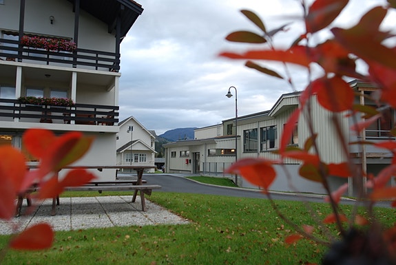 Bilde 1 av 5 i jobbannonse-galleriet