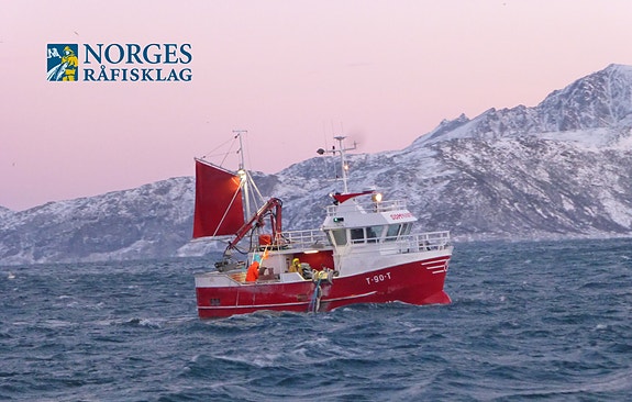 Bilde 1 av 1 i jobbannonse-galleriet