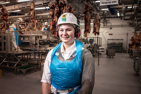 Bilde 2 av 6 i jobbannonse-galleriet