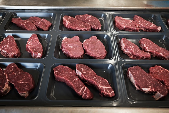 Bilde 3 av 6 i jobbannonse-galleriet