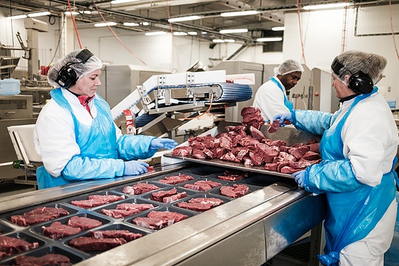 Bilde 3 av 6 i jobbannonse-galleriet