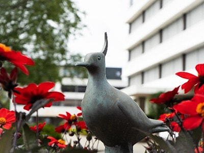 Bilde 1 av 1 i jobbannonse-galleriet