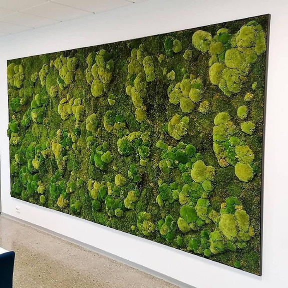 Bilde 6 av 7 i jobbannonse-galleriet