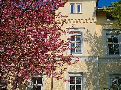 Helse Bergen HF logo