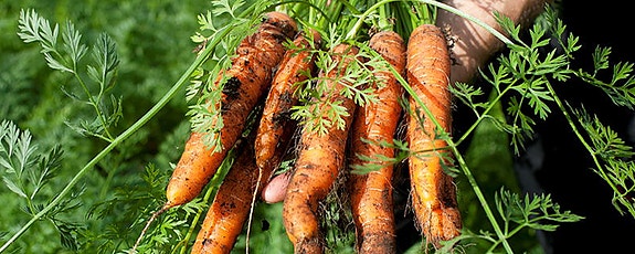 Bilde 1 av 1 i jobbannonse-galleriet