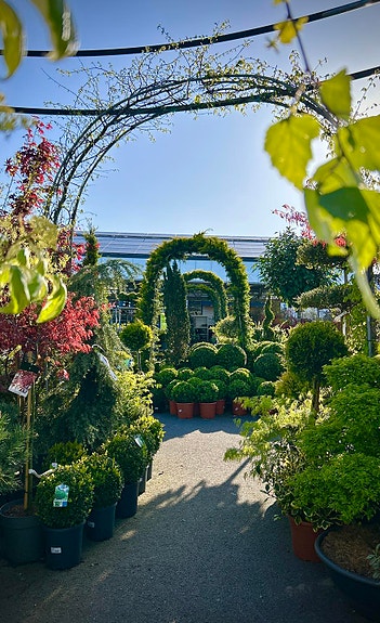 Bilde 6 av 6 i jobbannonse-galleriet