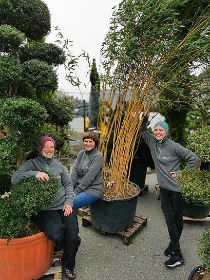 Bilde 1 av 6 i jobbannonse-galleriet