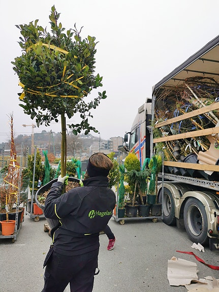 Bilde 2 av 6 i jobbannonse-galleriet