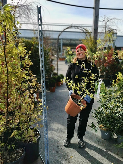 Bilde 3 av 6 i jobbannonse-galleriet