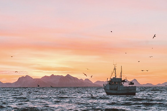 Bilde 1 av 1 i jobbannonse-galleriet