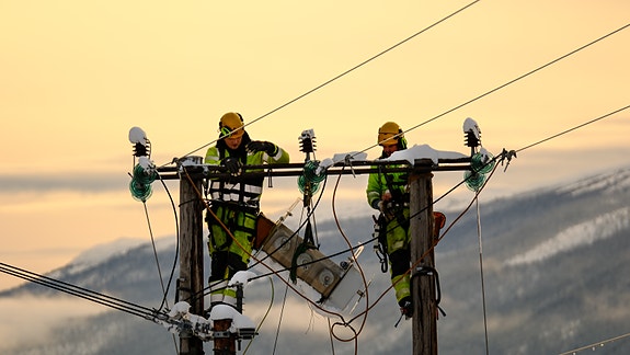 Bilde 2 av 4 i jobbannonse-galleriet