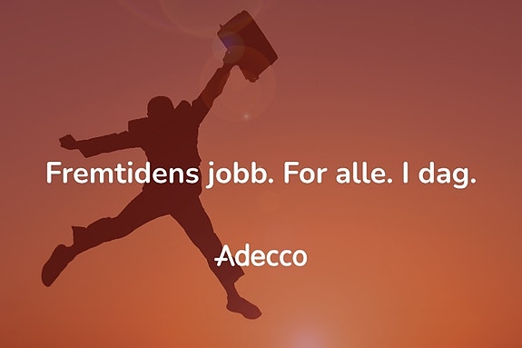 Bilde 1 av 1 i jobbannonse-galleriet