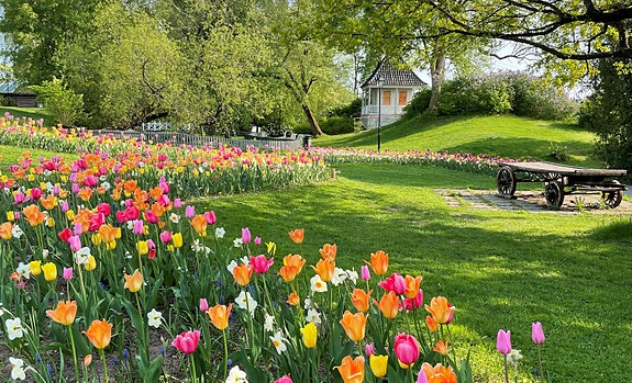Brekkeparken ved andedammen og lysthuset
