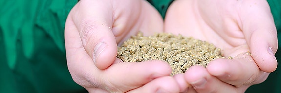 Bilde 1 av 1 i jobbannonse-galleriet