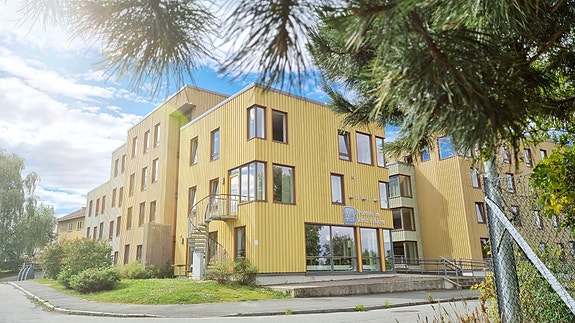 Bilde 1 av 1 i jobbannonse-galleriet