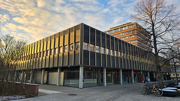 Bilde 2 av 5 i jobbannonse-galleriet