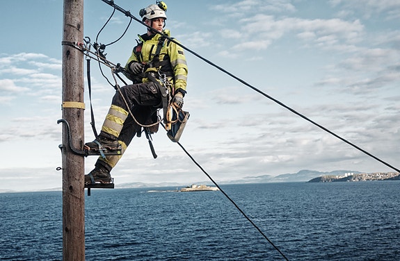 Bilde 1 av 7 i jobbannonse-galleriet