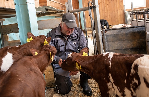 Bilde 2 av 3 i jobbannonse-galleriet