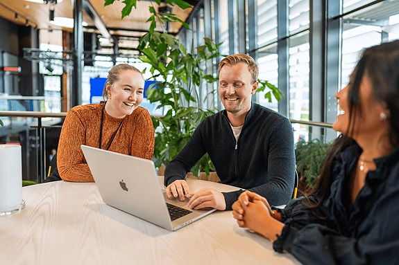 Bilde 1 av 1 i jobbannonse-galleriet