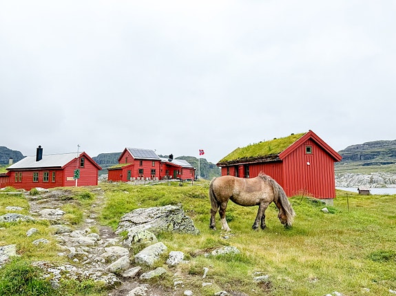 I fantastiske omgivelser. Foto: Agnethe Larsen