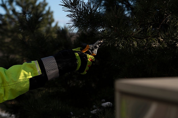 Bilde 2 av 3 i jobbannonse-galleriet