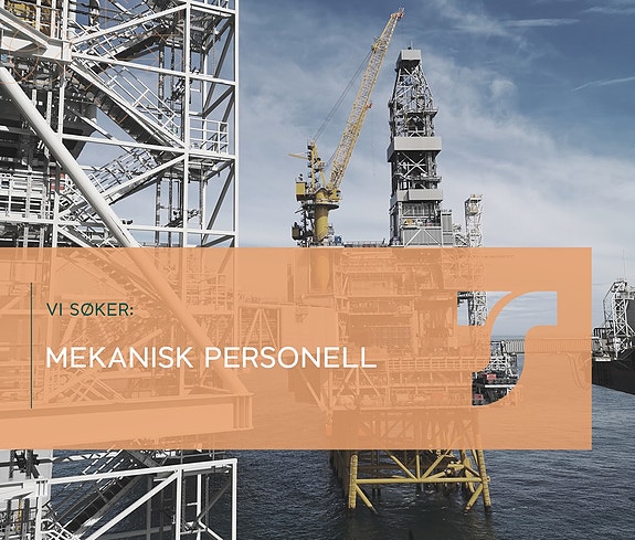 Bilde 1 av 1 i jobbannonse-galleriet