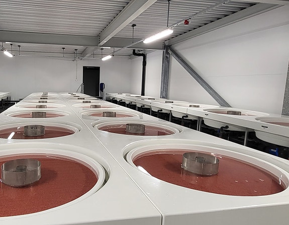 Bilde 3 av 4 i jobbannonse-galleriet