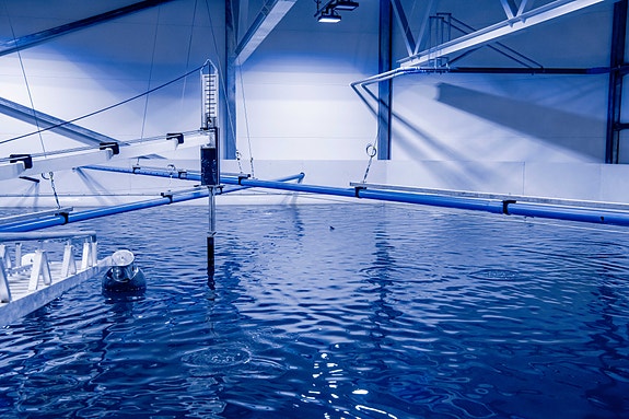 Bilde 2 av 4 i jobbannonse-galleriet