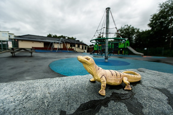 Bilde 2 av 5 i jobbannonse-galleriet