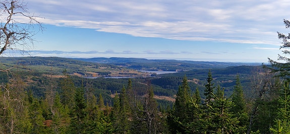 Bilde 5 av 5 i jobbannonse-galleriet