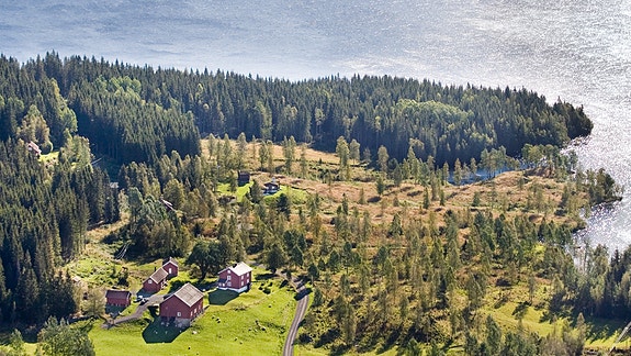 Løvenskiold-Vækerø PS logo